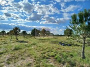 Terreno Rstico - Santa Margarida da Serra, Grndola, Setbal - Miniatura: 5/9
