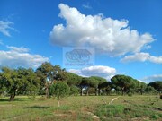 Terreno Rstico - Santa Margarida da Serra, Grndola, Setbal - Miniatura: 6/9