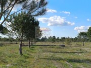 Terreno Rstico - Santa Margarida da Serra, Grndola, Setbal - Miniatura: 7/9