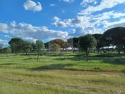 Terreno Rstico - Santa Margarida da Serra, Grndola, Setbal - Miniatura: 9/9