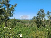 Terreno Rstico - Melides, Grndola, Setbal - Miniatura: 1/9