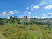 Terreno Rstico - Melides, Grndola, Setbal - Miniatura: 2/9