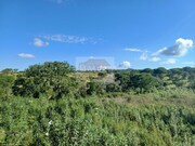 Terreno Rstico - Melides, Grndola, Setbal - Miniatura: 3/9