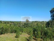 Terreno Rstico - Melides, Grndola, Setbal - Miniatura: 5/9
