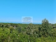 Terreno Rstico - Melides, Grndola, Setbal - Miniatura: 6/9