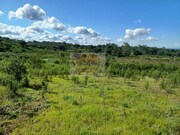 Terreno Rstico - Melides, Grndola, Setbal - Miniatura: 7/9