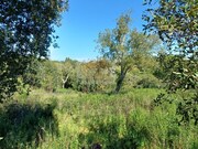 Terreno Rstico - Melides, Grndola, Setbal - Miniatura: 8/9