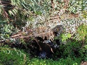 Terreno Rstico - Melides, Grndola, Setbal - Miniatura: 9/9