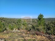 Terreno R�stico - Santa Margarida da Serra, Gr�ndola, Set�bal - Miniatura: 1/9