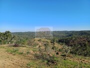 Terreno R�stico - Santa Margarida da Serra, Gr�ndola, Set�bal - Miniatura: 2/9