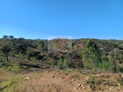Terreno R�stico - Santa Margarida da Serra, Gr�ndola, Set�bal - Miniatura: 3/9