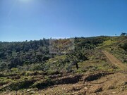 Terreno R�stico - Santa Margarida da Serra, Gr�ndola, Set�bal - Miniatura: 4/9