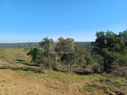 Terreno R�stico - Santa Margarida da Serra, Gr�ndola, Set�bal - Miniatura: 6/9