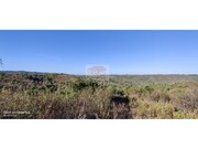 Terreno R�stico - Santa Margarida da Serra, Gr�ndola, Set�bal - Miniatura: 8/9