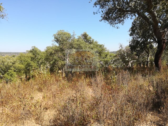 Terreno R�stico - Santa Margarida da Serra, Gr�ndola, Set�bal - Imagem grande