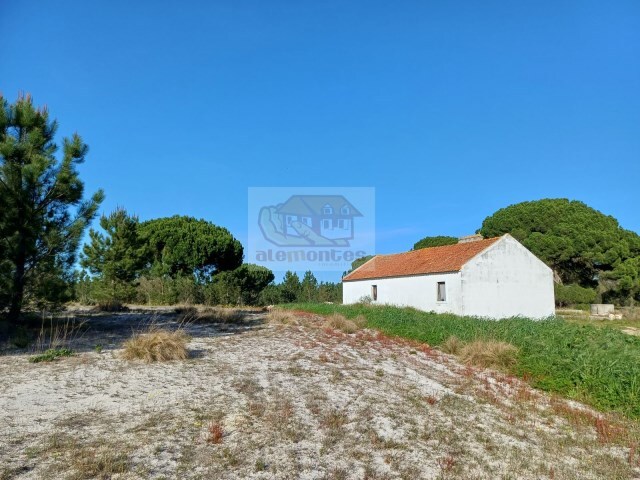 Terreno Urbano - Santa Margarida da Serra, Gr�ndola, Set�bal - Imagem grande