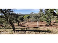 Terreno R�stico - S�o Francisco da Serra, Santiago do Cac�m, Set�bal
