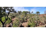 Terreno R�stico - S�o Francisco da Serra, Santiago do Cac�m, Set�bal - Miniatura: 1/9