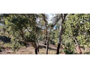 Terreno R�stico - S�o Francisco da Serra, Santiago do Cac�m, Set�bal - Miniatura: 2/9
