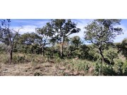 Terreno R�stico - S�o Francisco da Serra, Santiago do Cac�m, Set�bal - Miniatura: 5/9