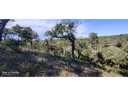 Terreno R�stico - S�o Francisco da Serra, Santiago do Cac�m, Set�bal - Miniatura: 6/9