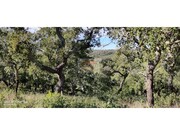 Terreno R�stico - S�o Francisco da Serra, Santiago do Cac�m, Set�bal - Miniatura: 7/9