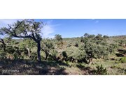 Terreno R�stico - S�o Francisco da Serra, Santiago do Cac�m, Set�bal - Miniatura: 8/9