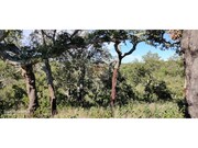 Terreno R�stico - S�o Francisco da Serra, Santiago do Cac�m, Set�bal - Miniatura: 9/9