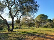 Terreno R�stico - Melides, Gr�ndola, Set�bal - Miniatura: 2/9