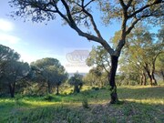 Terreno R�stico - Melides, Gr�ndola, Set�bal - Miniatura: 3/9