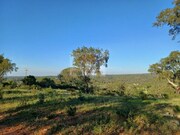 Terreno R�stico - Melides, Gr�ndola, Set�bal - Miniatura: 4/9