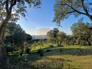 Terreno R�stico - Melides, Gr�ndola, Set�bal - Miniatura: 6/9