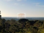 Terreno R�stico - Melides, Gr�ndola, Set�bal - Miniatura: 8/9