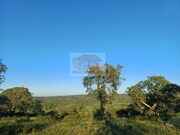 Terreno R�stico - Melides, Gr�ndola, Set�bal - Miniatura: 9/9