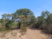 Terreno R�stico - Santa Margarida da Serra, Gr�ndola, Set�bal - Miniatura: 1/5
