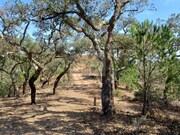 Terreno R�stico - Santa Margarida da Serra, Gr�ndola, Set�bal - Miniatura: 2/5