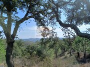 Terreno R�stico - Santa Margarida da Serra, Gr�ndola, Set�bal - Miniatura: 5/5
