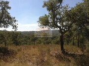 Terreno R�stico - Santa Margarida da Serra, Gr�ndola, Set�bal - Miniatura: 1/9