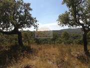 Terreno R�stico - Santa Margarida da Serra, Gr�ndola, Set�bal - Miniatura: 3/9