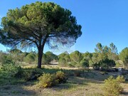 Terreno Urbano - Santa Margarida da Serra, Gr�ndola, Set�bal - Miniatura: 1/9