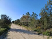 Terreno Urbano - Santa Margarida da Serra, Gr�ndola, Set�bal - Miniatura: 5/9
