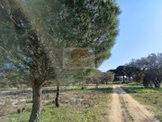 Terreno Urbano - Santa Margarida da Serra, Gr�ndola, Set�bal - Miniatura: 6/9