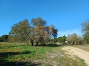 Terreno Urbano - Santa Margarida da Serra, Gr�ndola, Set�bal - Miniatura: 7/9