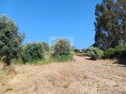 Terreno Rstico - Melides, Grndola, Setbal - Miniatura: 3/9