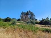Terreno Rstico - Melides, Grndola, Setbal - Miniatura: 5/9