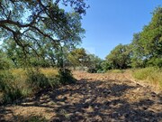 Terreno Rstico - Melides, Grndola, Setbal - Miniatura: 8/9