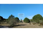 Terreno Urbano - Santa Margarida da Serra, Gr�ndola, Set�bal - Miniatura: 9/9