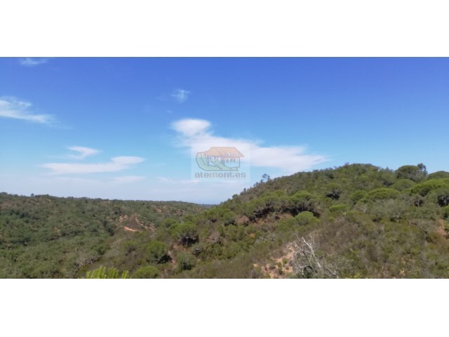 Terreno R�stico - S�o Francisco da Serra, Santiago do Cac�m, Set�bal - Imagem grande