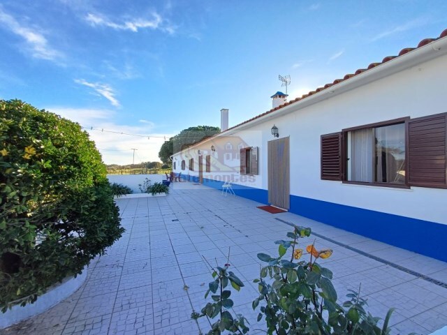 Quinta > T6 - Santa Margarida da Serra, Gr�ndola, Set�bal - Imagem grande