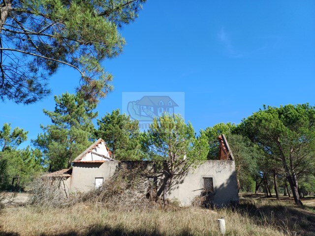 Terreno Urbano - Melides, Gr�ndola, Set�bal - Imagem grande